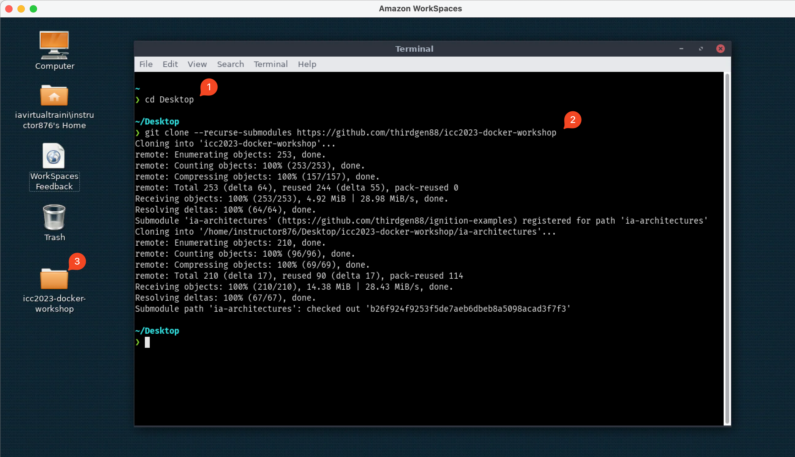 Clone Repo